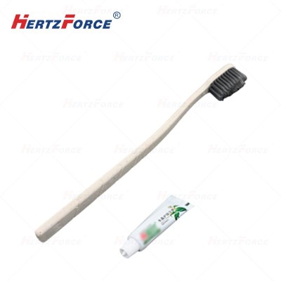 一次性牙刷牙膏套装清洁洗漱用品 2000套箱