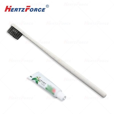 一次性牙刷牙膏套装清洁洗漱用品 2000套/箱