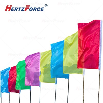 彩旗 70*110cm 竖版 5个色/包