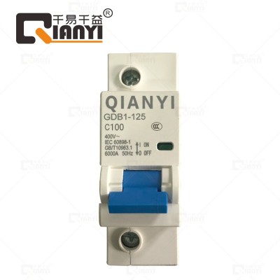 空气开关 家用小型断路器 空开 1P100A