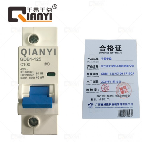 空气开关 家用小型断路器 空开 1P100A
