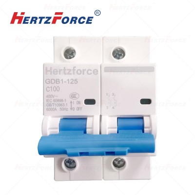 空气开关 家用小型断路器 空开 2P100A