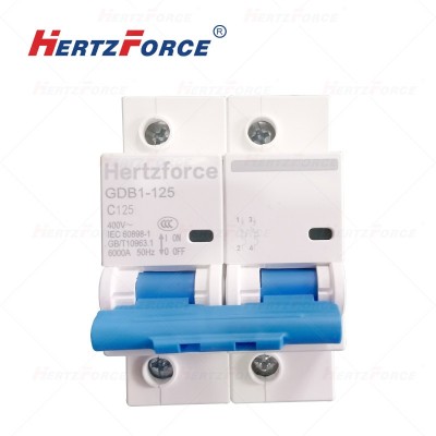 空气开关 家用小型断路器 空开 2P125A