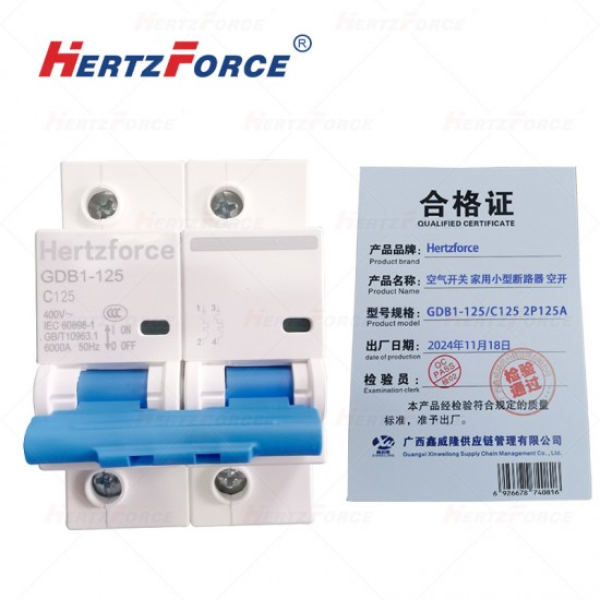 空气开关 家用小型断路器 空开 2P125A