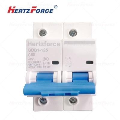 空气开关 家用小型断路器 空开 2P80A