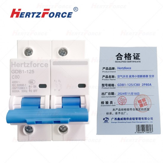 空气开关 家用小型断路器 空开 2P80A