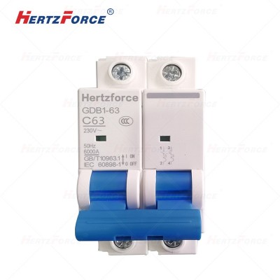 空气开关 家用小型断路器 空开 2P63A