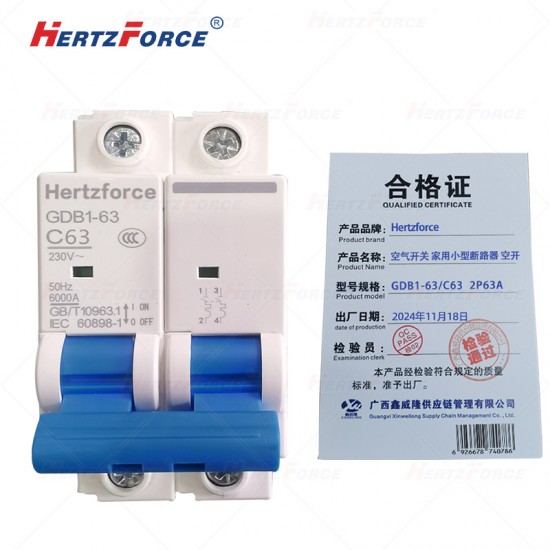 空气开关 家用小型断路器 空开 2P63A