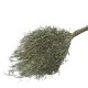 户外竹扫把 长度2.9m 可调节(1件12把) 户外竹扫把 长度2.9m 可调节(1件12把)