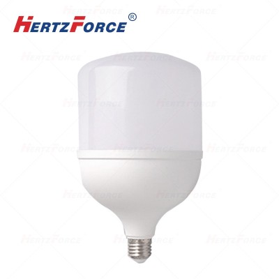 LED灯泡 E27 6500K 30W/只