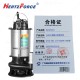 220V不锈钢小型潜水泵 2寸/1500W/10米线   