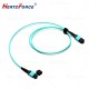 光纤跳线 MPO-MPO 5M 多模12芯om3
