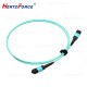 光纤跳线 MPO-MPO 5M 多模12芯om3