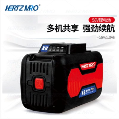锂电充电器 4Ah 80min 适用于HERTZMRO  58V锂电池 ZL-LD480