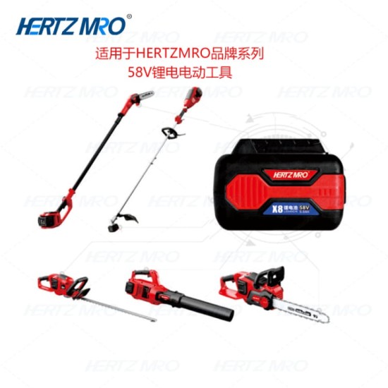 锂电充电器 4Ah 80min 适用于HERTZMRO  58V锂电池 ZL-LD480