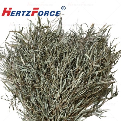 户外竹扫把 长度2.9m 可调节（1件12把）